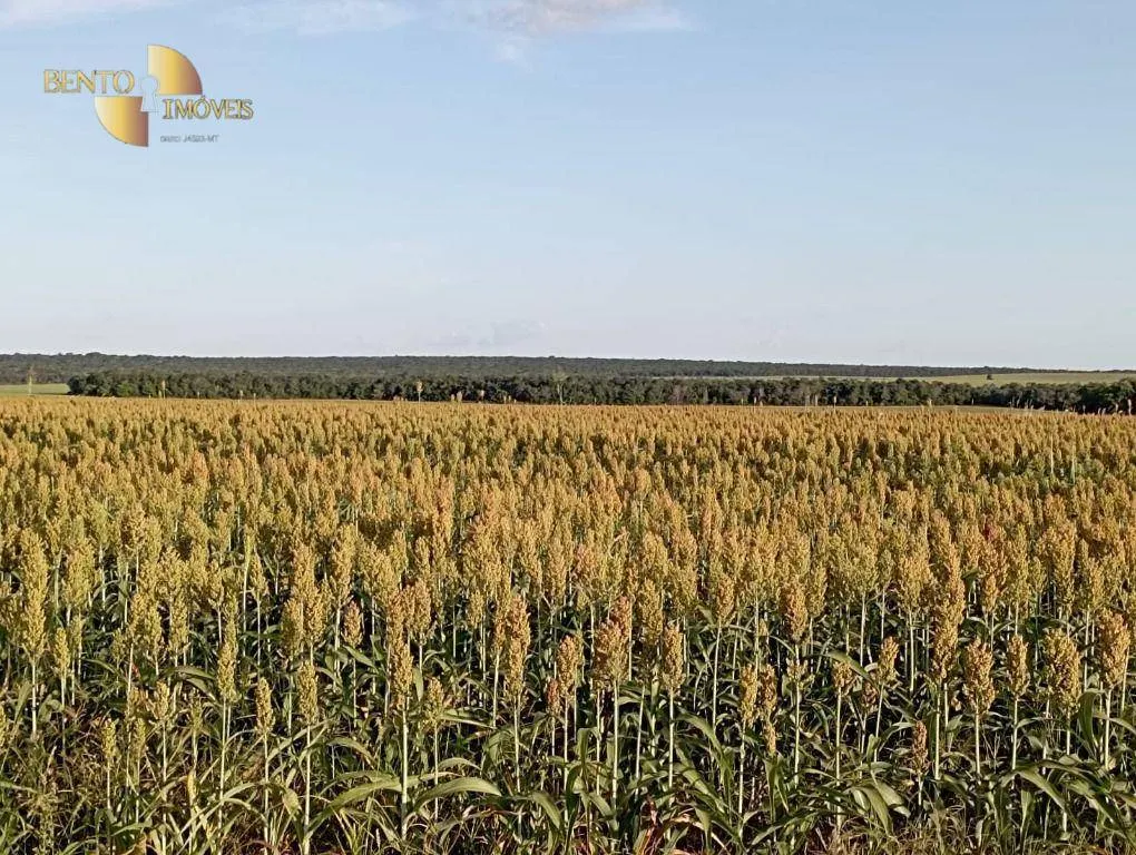 Farm for sale of 10,082 acres in Ribeirão Cascalheira, MT, Brazil