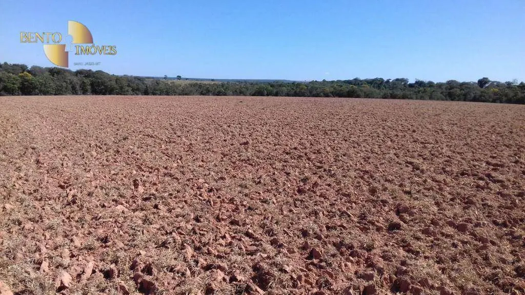 Farm for sale of 10,082 acres in Ribeirão Cascalheira, MT, Brazil