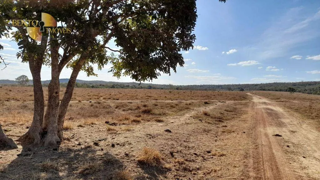 Farm for sale of 10,082 acres in Ribeirão Cascalheira, MT, Brazil