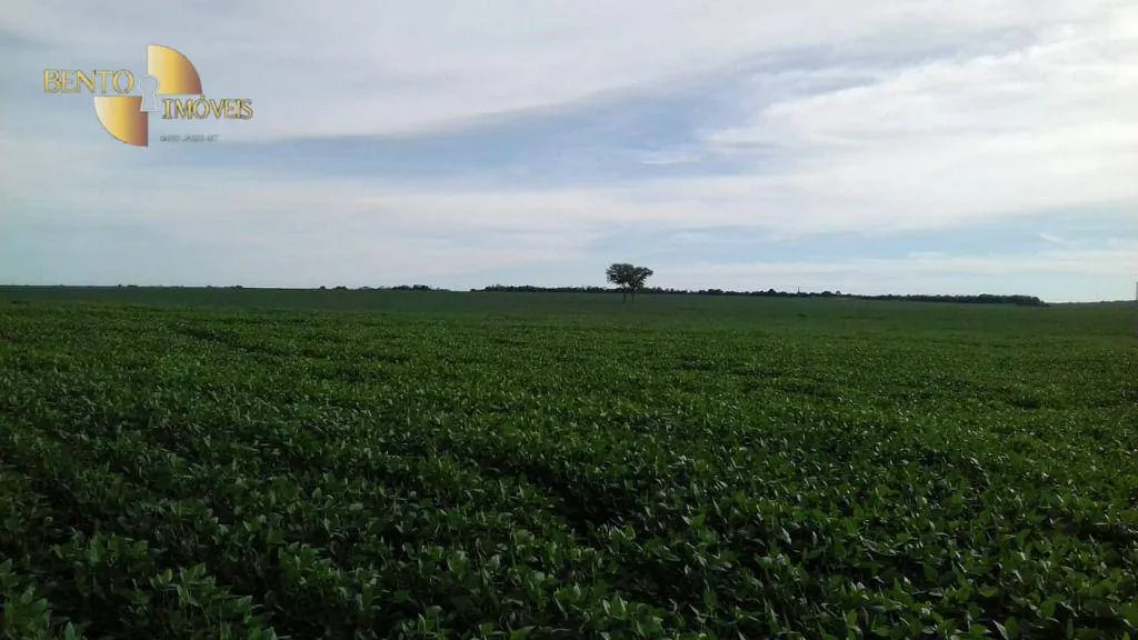 Farm for sale of 10,082 acres in Ribeirão Cascalheira, MT, Brazil