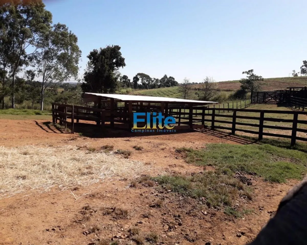 Small farm for sale of 74 acres in Amparo, SP, Brazil