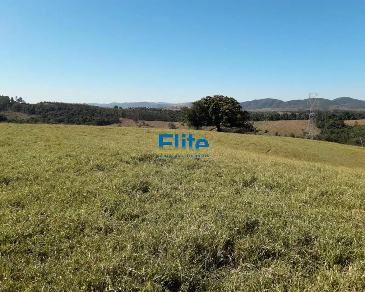 Small farm for sale of 74 acres in Amparo, SP, Brazil