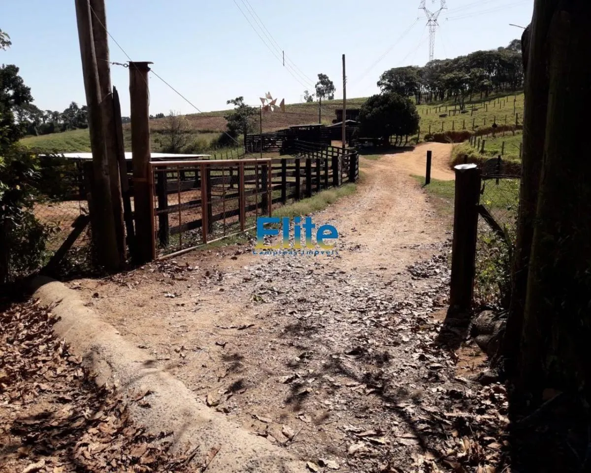 Small farm for sale of 74 acres in Amparo, SP, Brazil