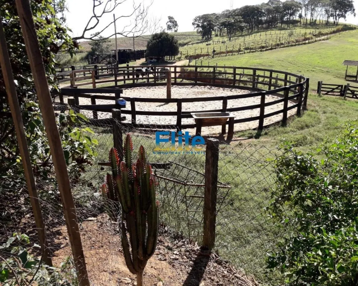 Small farm for sale of 74 acres in Amparo, SP, Brazil