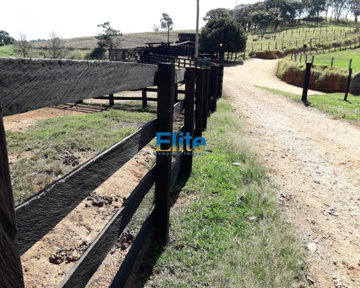 Small farm for sale of 74 acres in Amparo, SP, Brazil