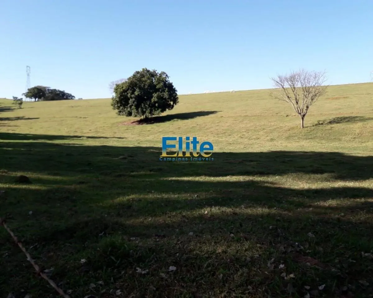 Small farm for sale of 74 acres in Amparo, SP, Brazil