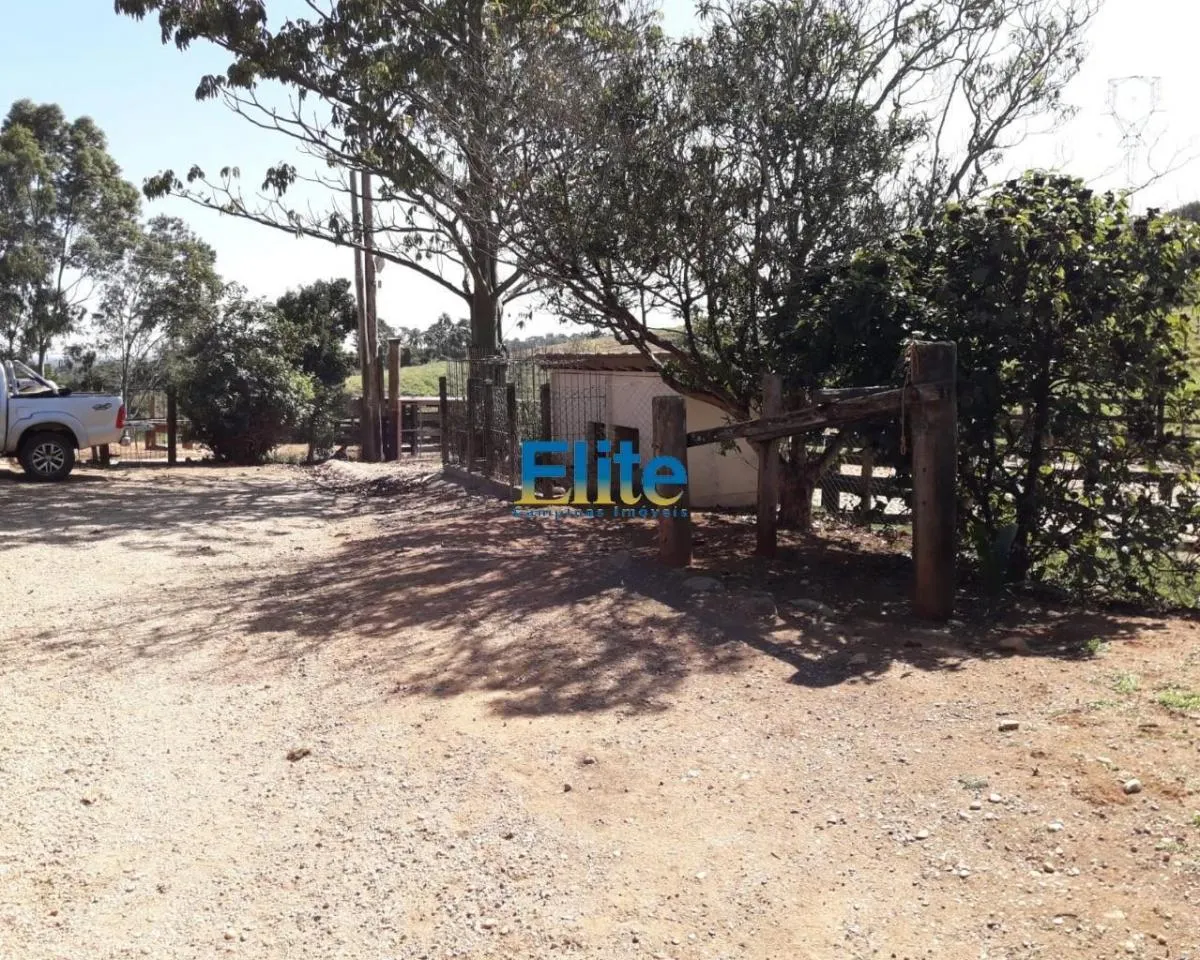 Small farm for sale of 74 acres in Amparo, SP, Brazil