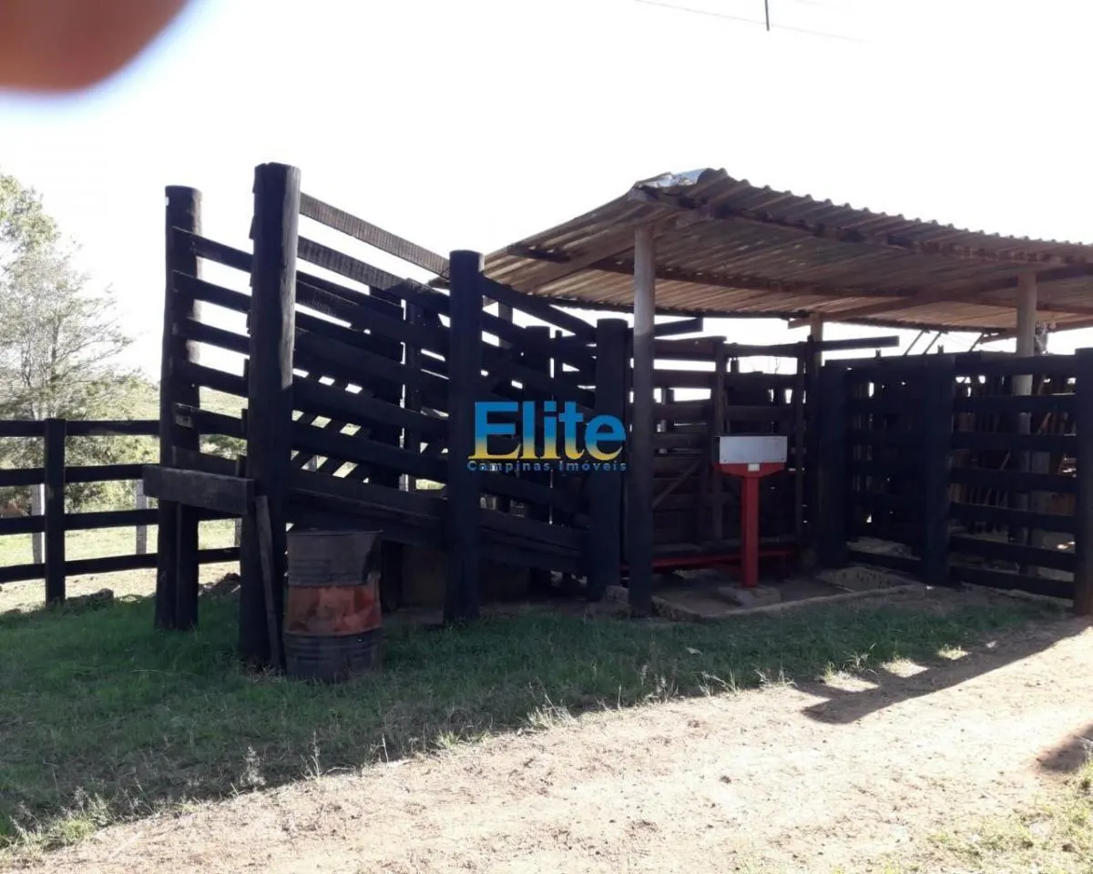 Small farm for sale of 74 acres in Amparo, SP, Brazil