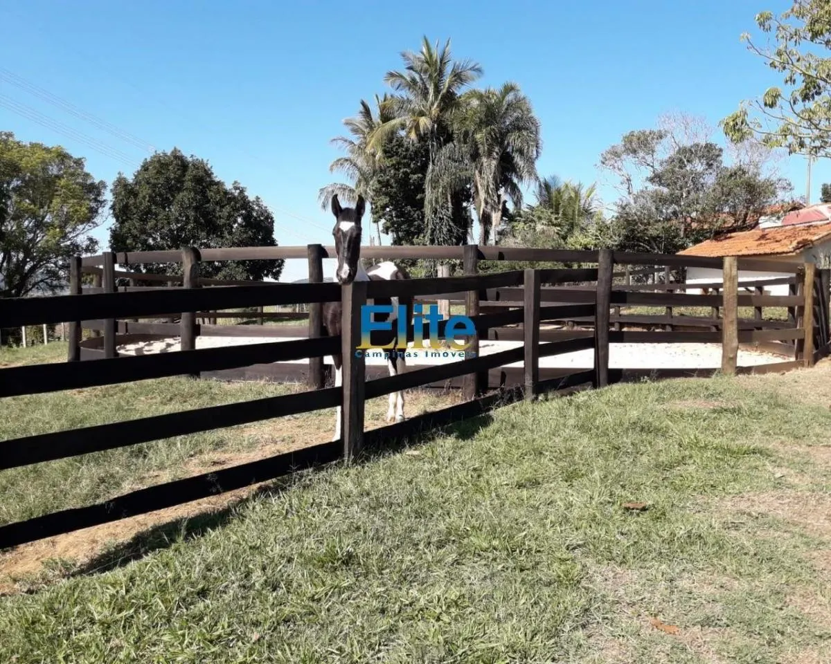 Small farm for sale of 74 acres in Amparo, SP, Brazil