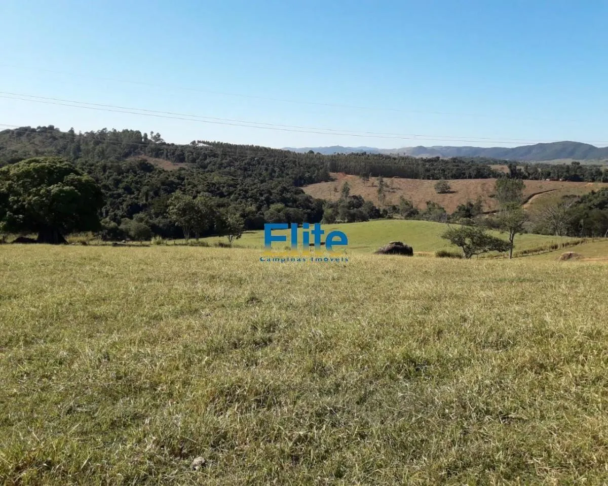 Small farm for sale of 74 acres in Amparo, SP, Brazil