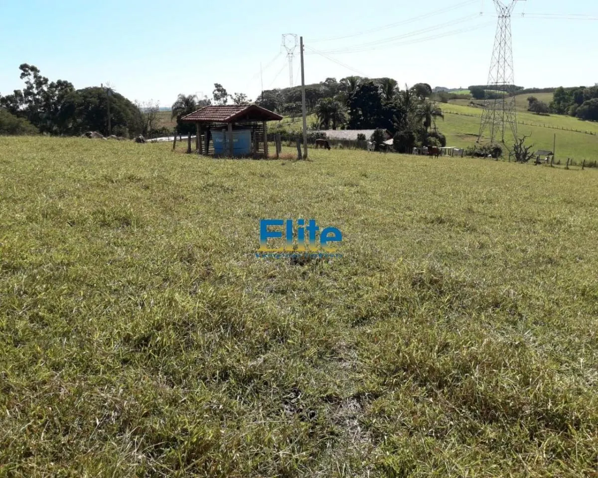 Small farm for sale of 74 acres in Amparo, SP, Brazil