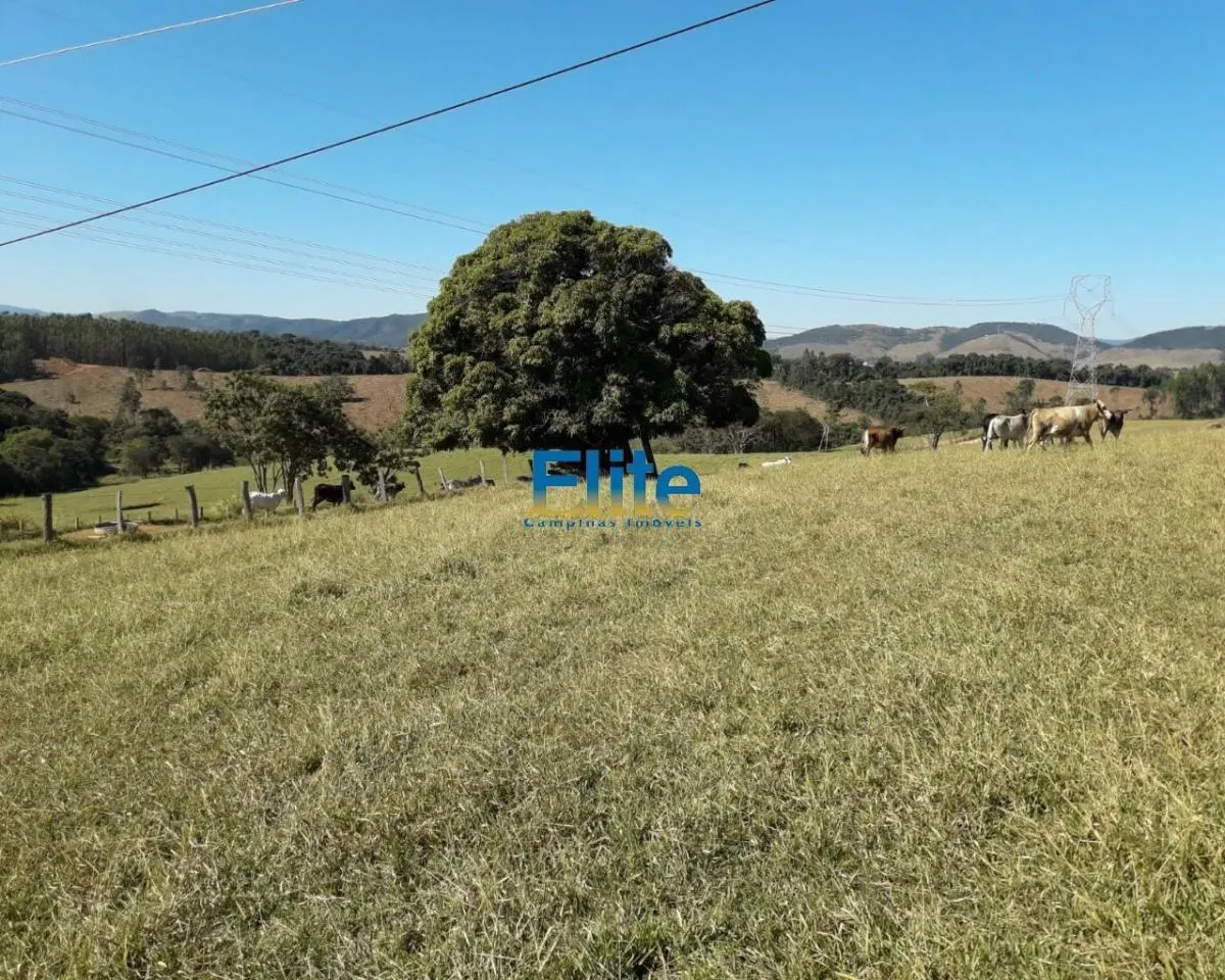 Small farm for sale of 74 acres in Amparo, SP, Brazil