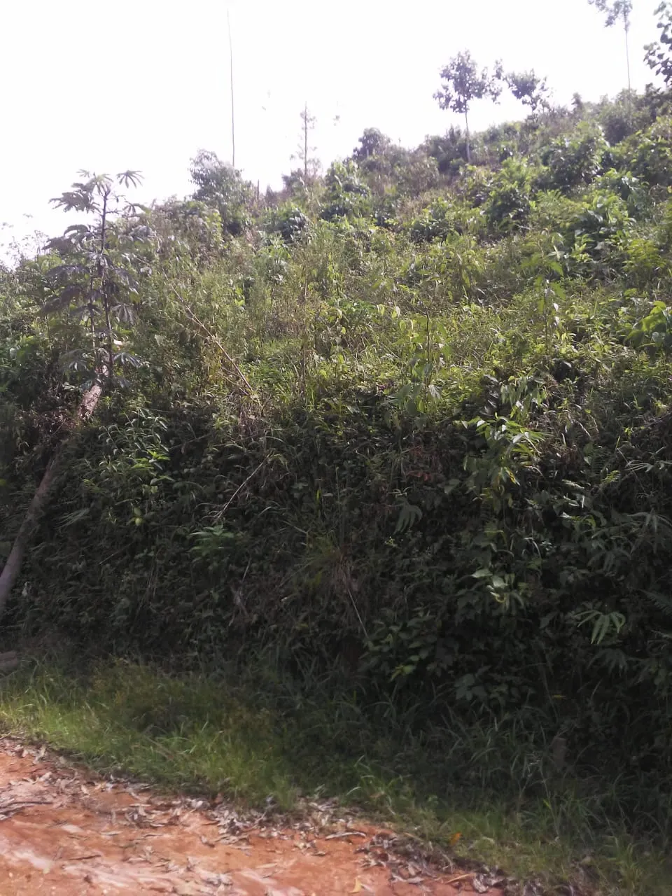 Plot for sale of 5 acres in São José dos Campos, SP, Brazil