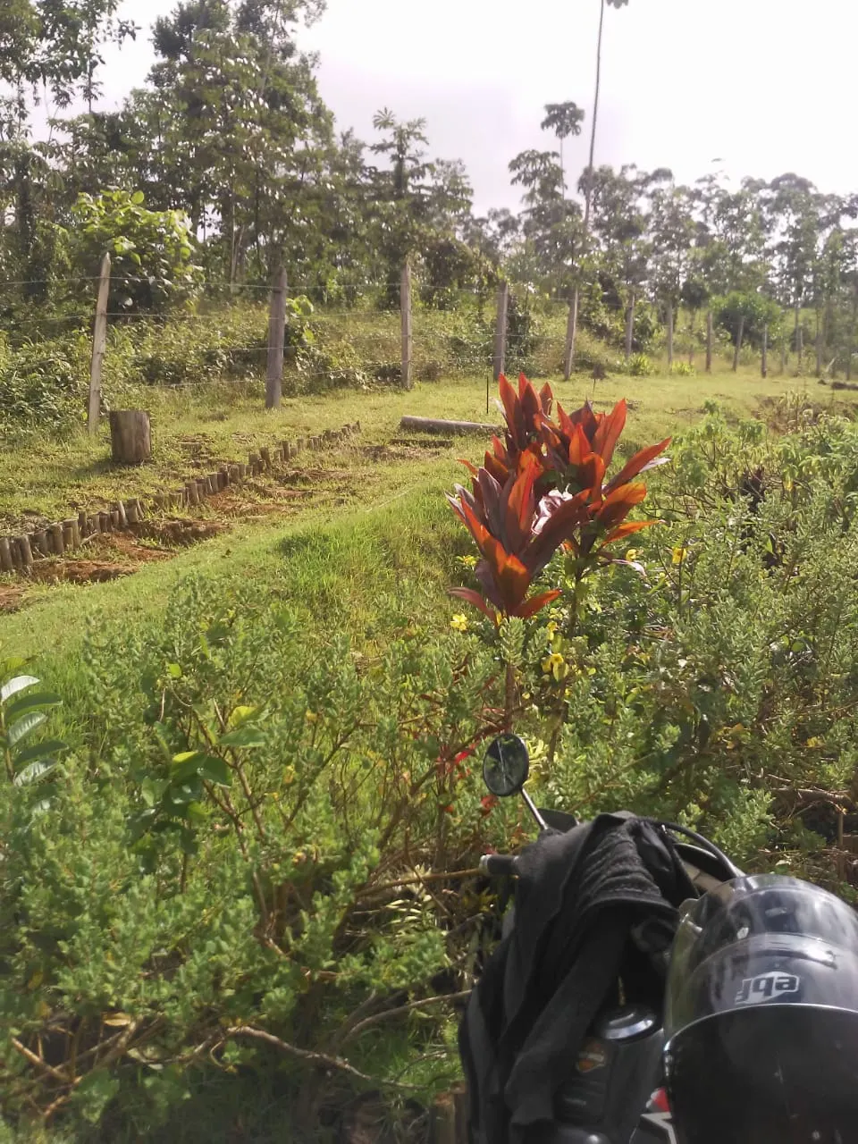 Plot for sale of 5 acres in São José dos Campos, SP, Brazil