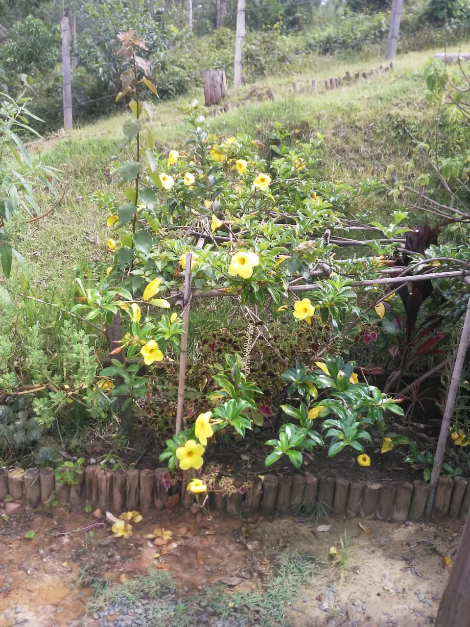 Plot for sale of 5 acres in São José dos Campos, SP, Brazil