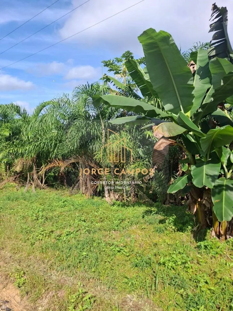 Fazenda à venda de 250 ha em Sete Barras, SP, Brasil