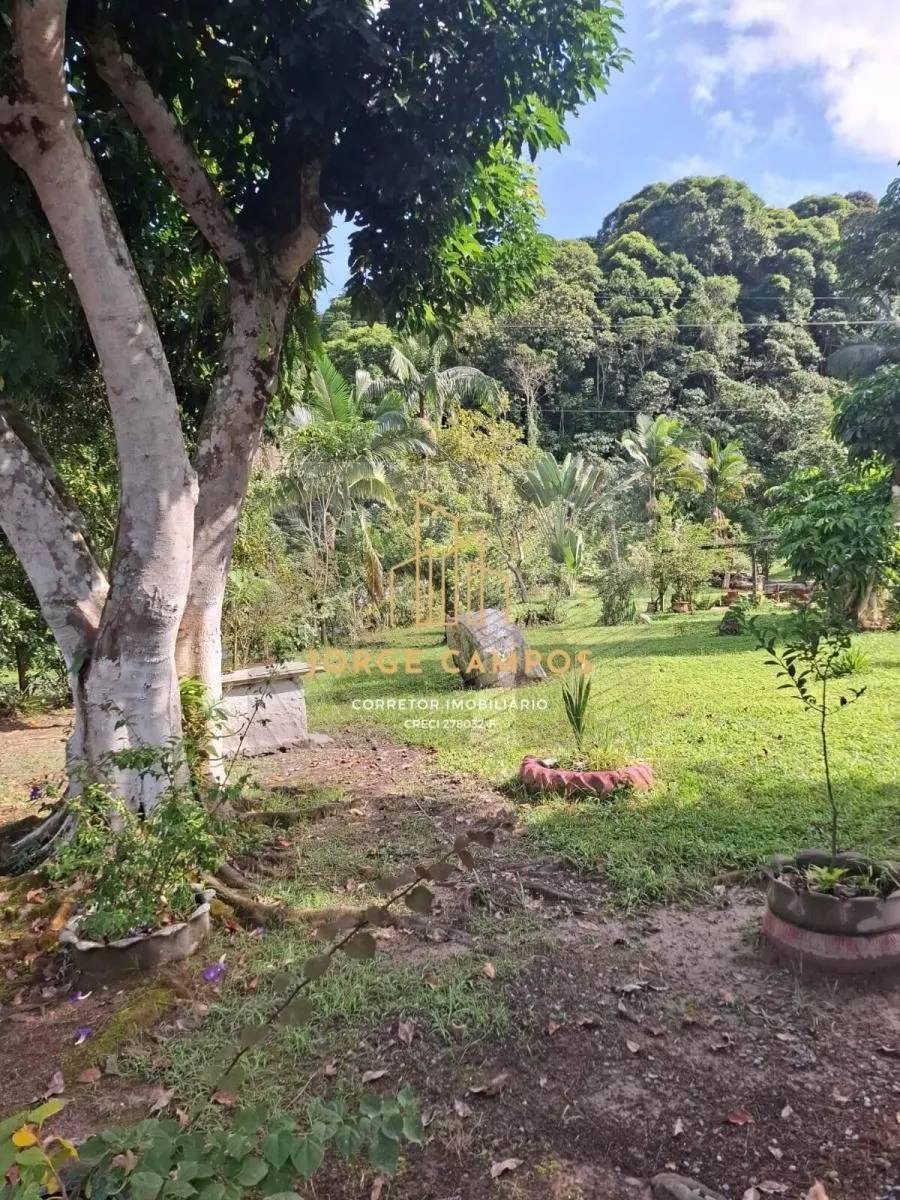 Fazenda à venda de 250 ha em Sete Barras, SP, Brasil