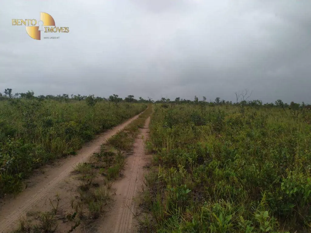 Fazenda à venda de 18.600 ha em Tangará da Serra, MT, Brasil