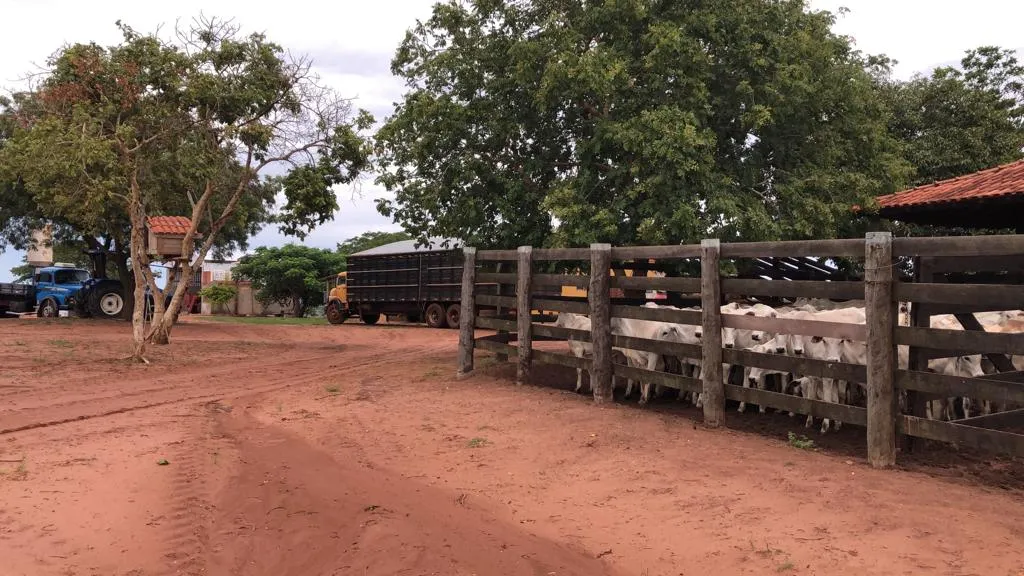 Fazenda à venda e para Arrendar de 883 ha em Ribas do Rio Pardo, MS, Brasil