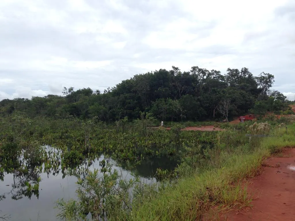 Fazenda à venda e para Arrendar de 883 ha em Ribas do Rio Pardo, MS, Brasil
