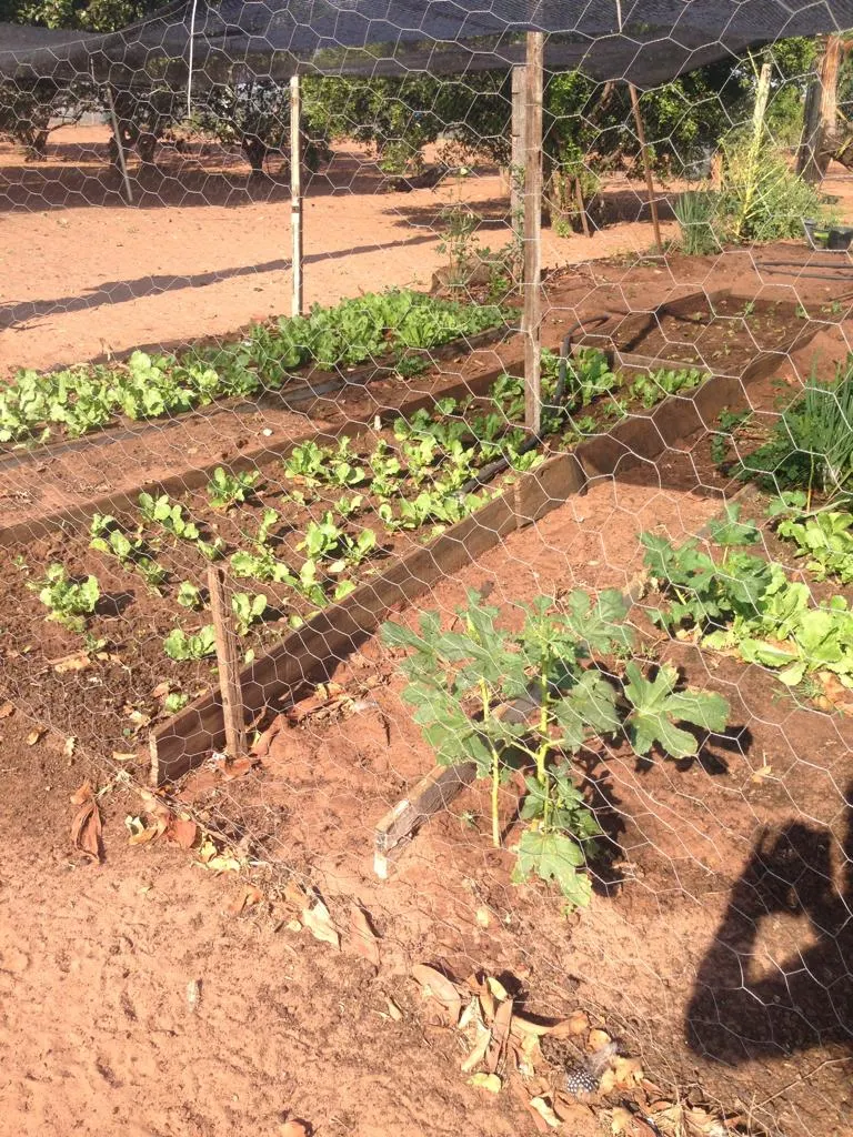 Fazenda à venda e para Arrendar de 883 ha em Ribas do Rio Pardo, MS, Brasil