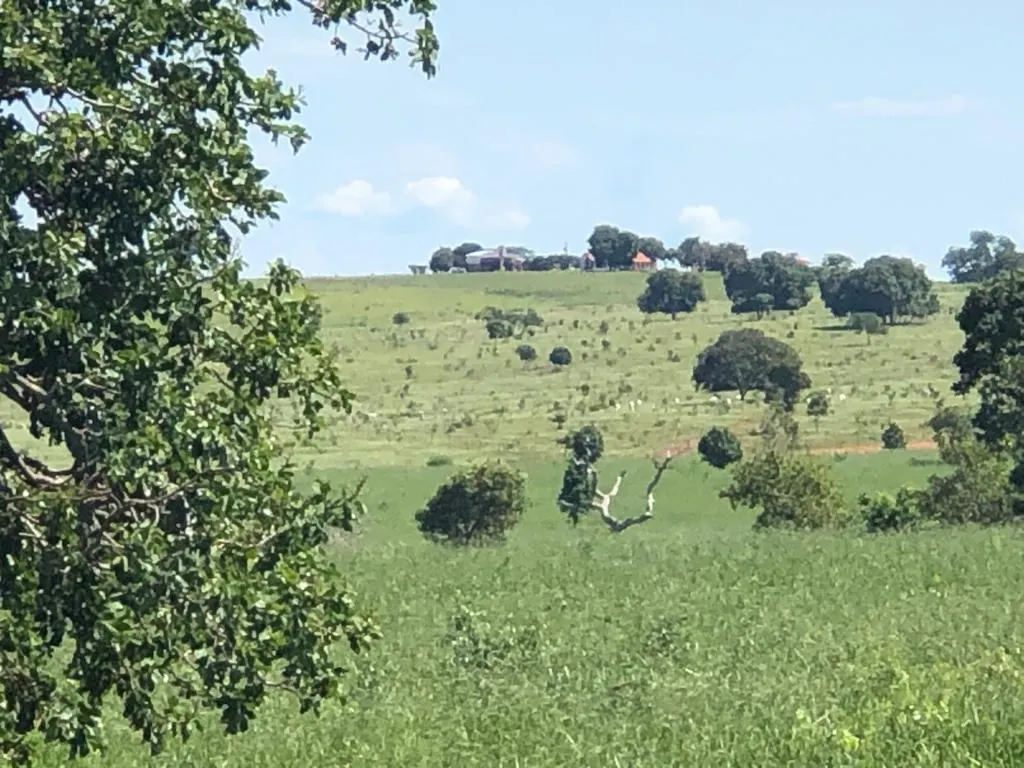 Fazenda à venda e para Arrendar de 883 ha em Ribas do Rio Pardo, MS, Brasil