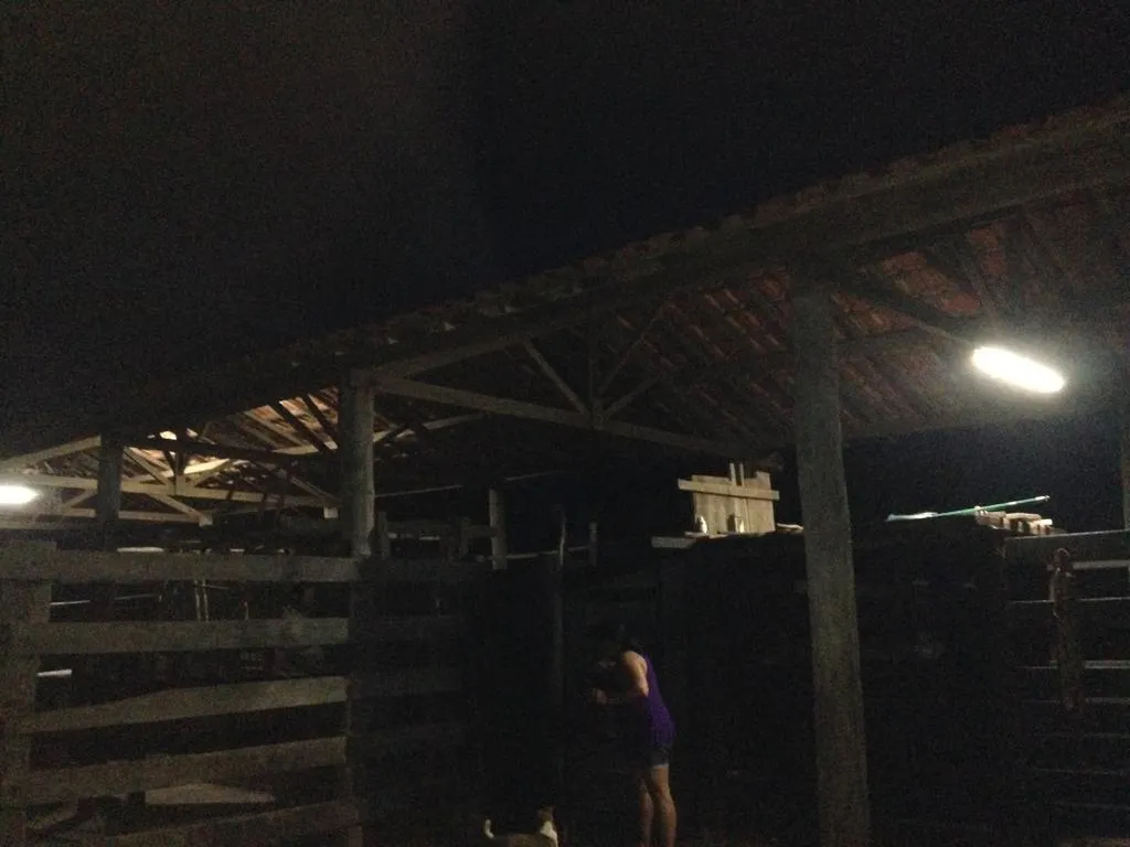 Fazenda à venda e para Arrendar de 883 ha em Ribas do Rio Pardo, MS, Brasil