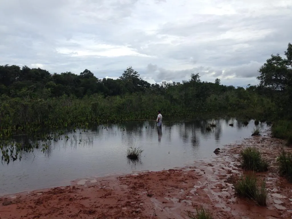 Fazenda à venda e para Arrendar de 883 ha em Ribas do Rio Pardo, MS, Brasil