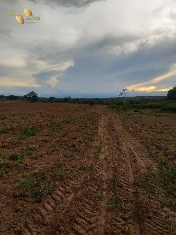 Fazenda à venda de 1.350 ha em Guiratinga, MT, Brasil