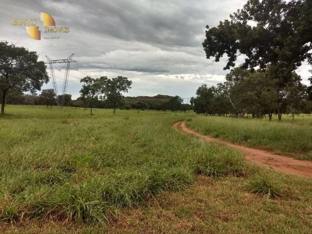 Fazenda à venda de 1.350 ha em Guiratinga, MT, Brasil
