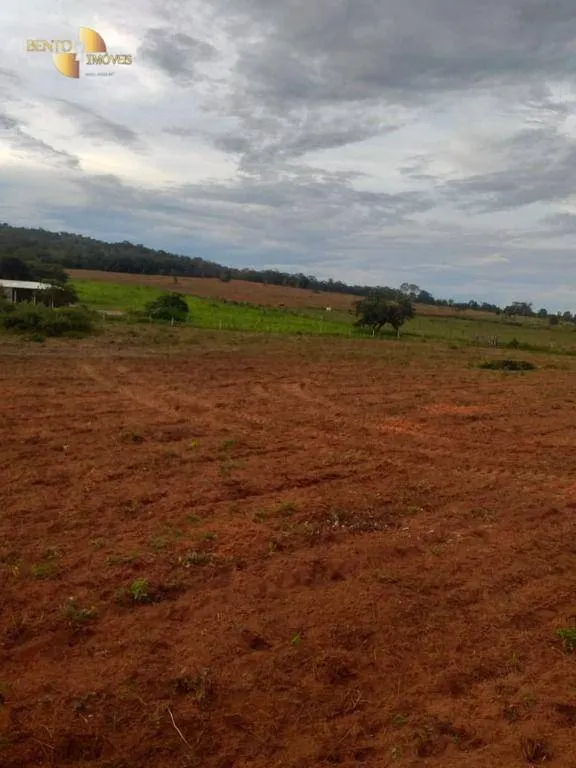Fazenda à venda de 1.350 ha em Guiratinga, MT, Brasil
