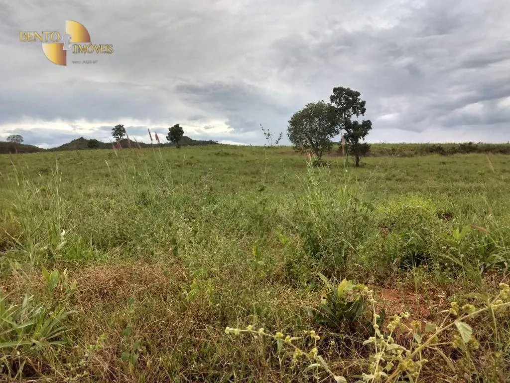 Fazenda à venda de 1.350 ha em Guiratinga, MT, Brasil