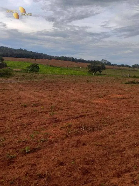 Fazenda à venda de 1.350 ha em Guiratinga, MT, Brasil