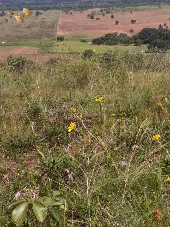 Fazenda à venda de 1.350 ha em Guiratinga, MT, Brasil