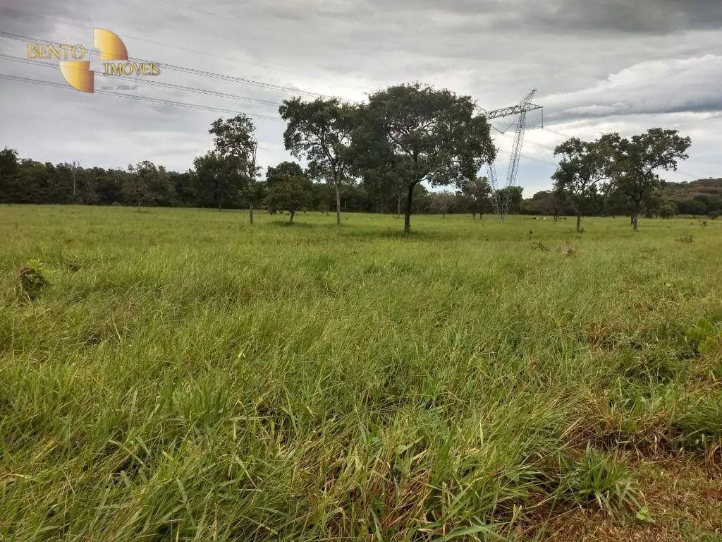 Fazenda à venda de 1.350 ha em Guiratinga, MT, Brasil
