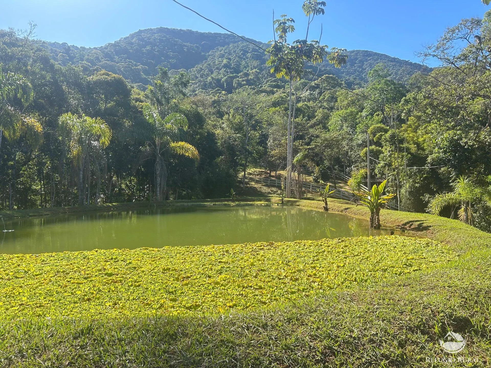 Small farm for sale of 15 acres in Monteiro Lobato, SP, Brazil