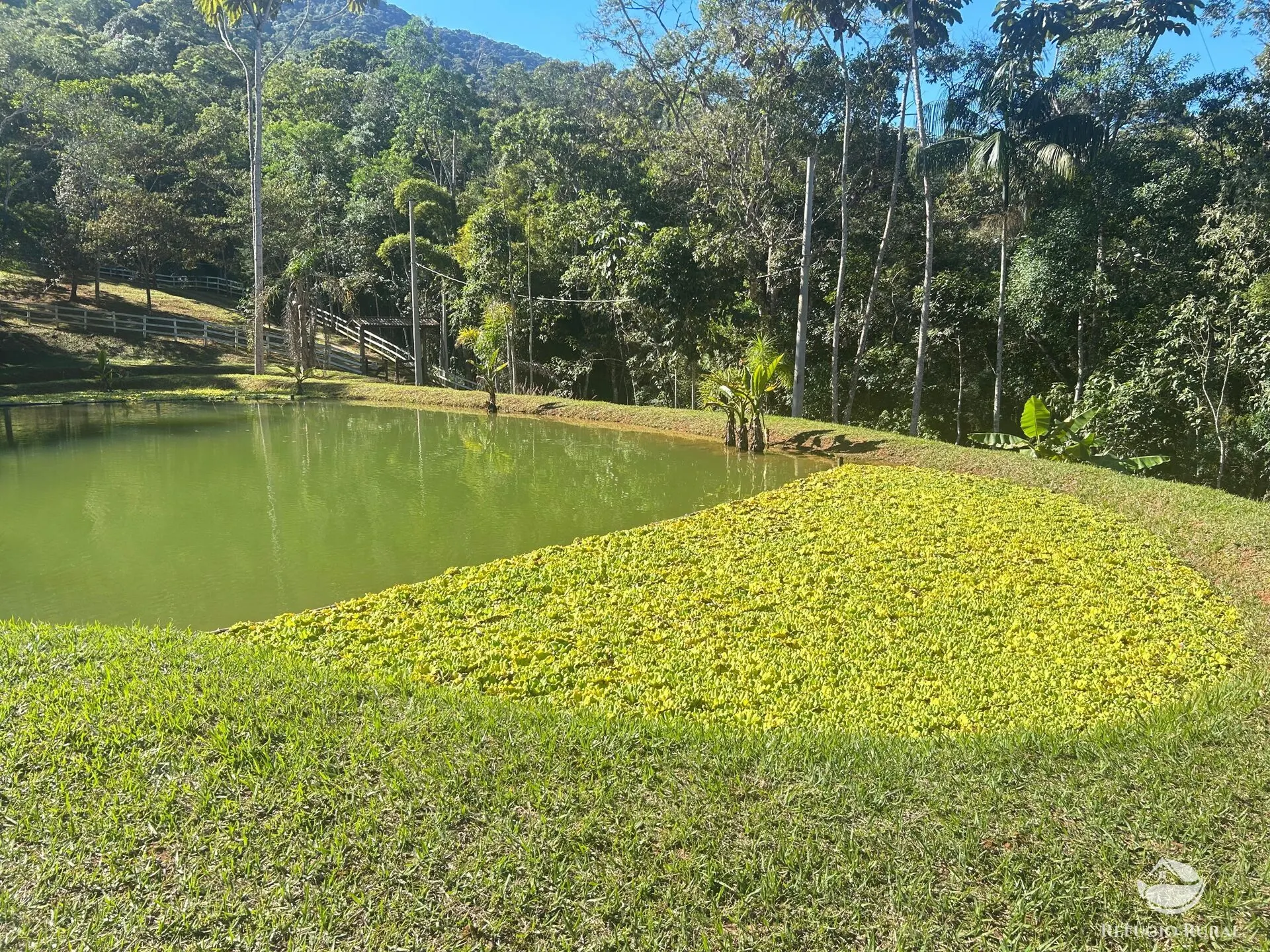 Small farm for sale of 15 acres in Monteiro Lobato, SP, Brazil