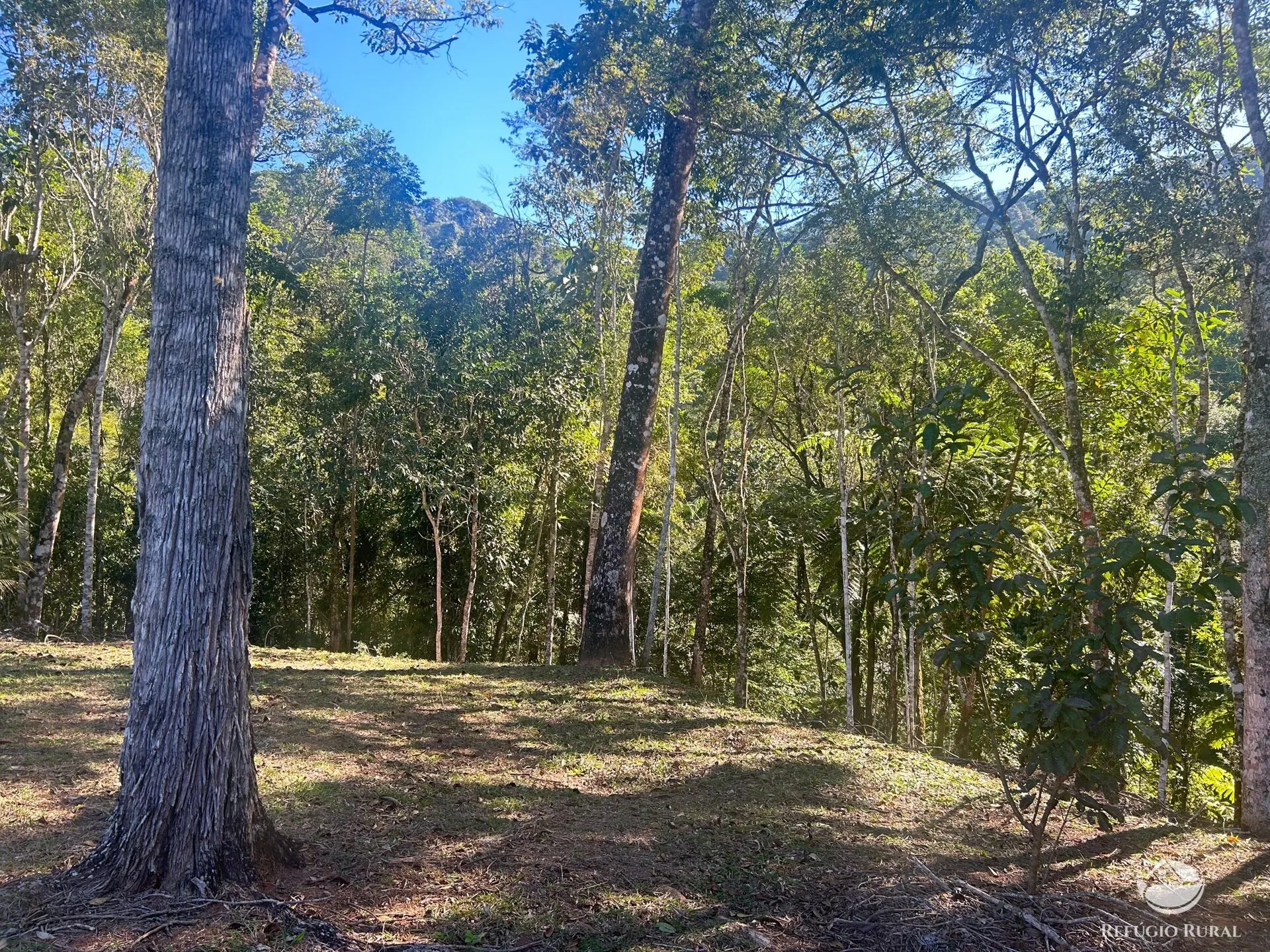 Small farm for sale of 15 acres in Monteiro Lobato, SP, Brazil