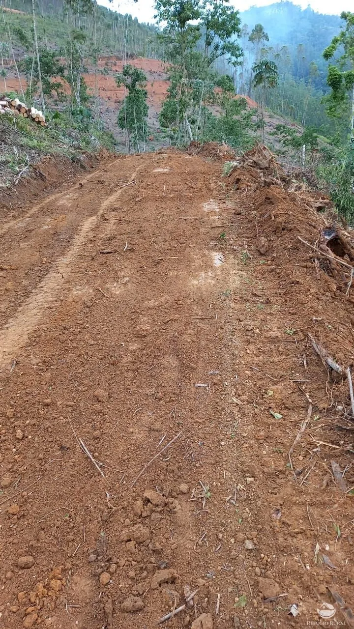 Plot for sale of 5 acres in Monteiro Lobato, SP, Brazil