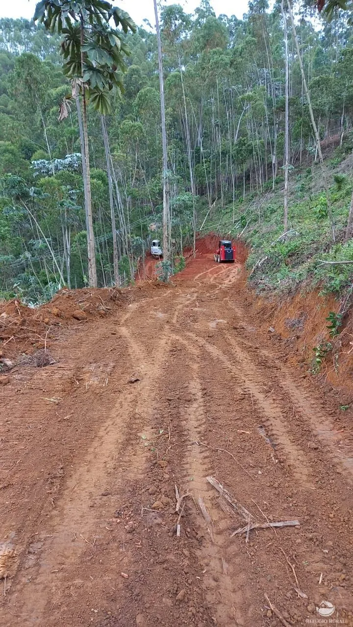 Plot for sale of 5 acres in Monteiro Lobato, SP, Brazil