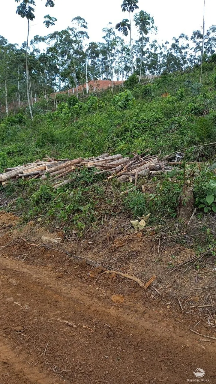 Plot for sale of 5 acres in Monteiro Lobato, SP, Brazil