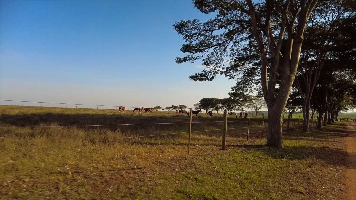 Fazenda à venda de 107 ha em Tatuí, SP, Brasil