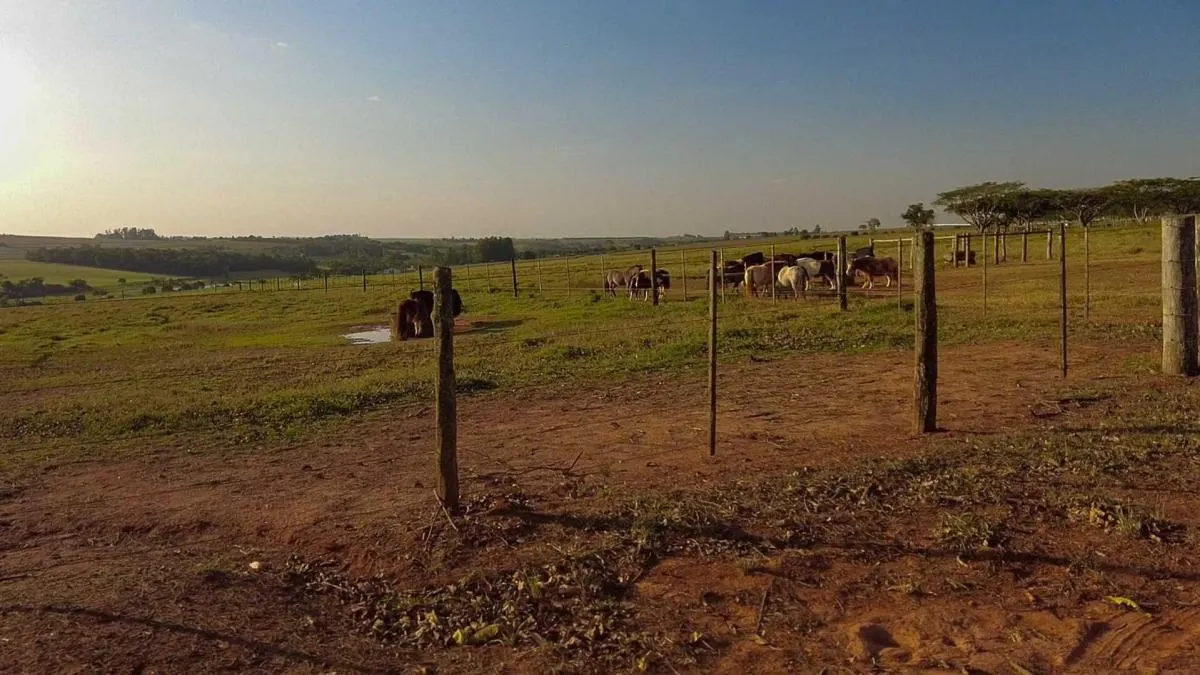 Fazenda à venda de 107 ha em Tatuí, SP, Brasil
