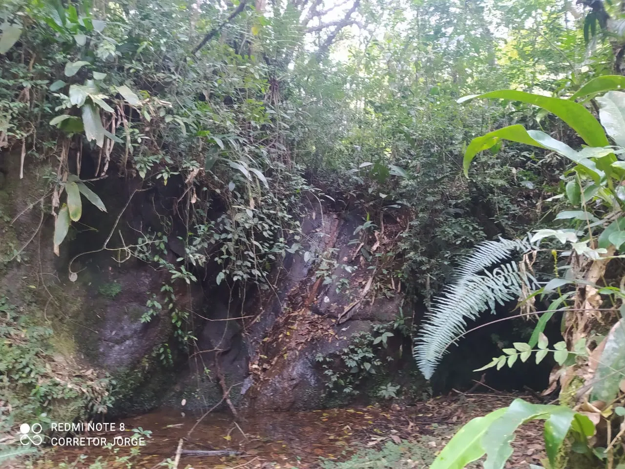 Plot for sale of 5 acres in São José dos Campos, SP, Brazil