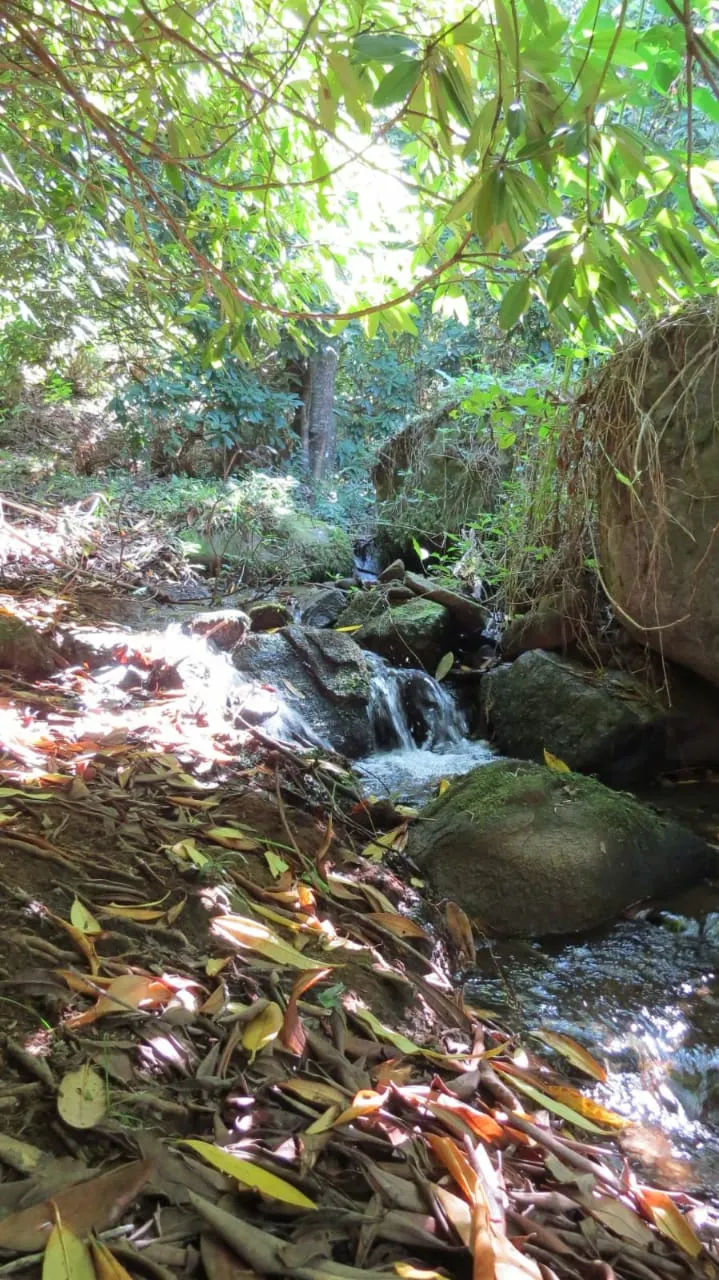 Plot for sale of 5 acres in São José dos Campos, SP, Brazil