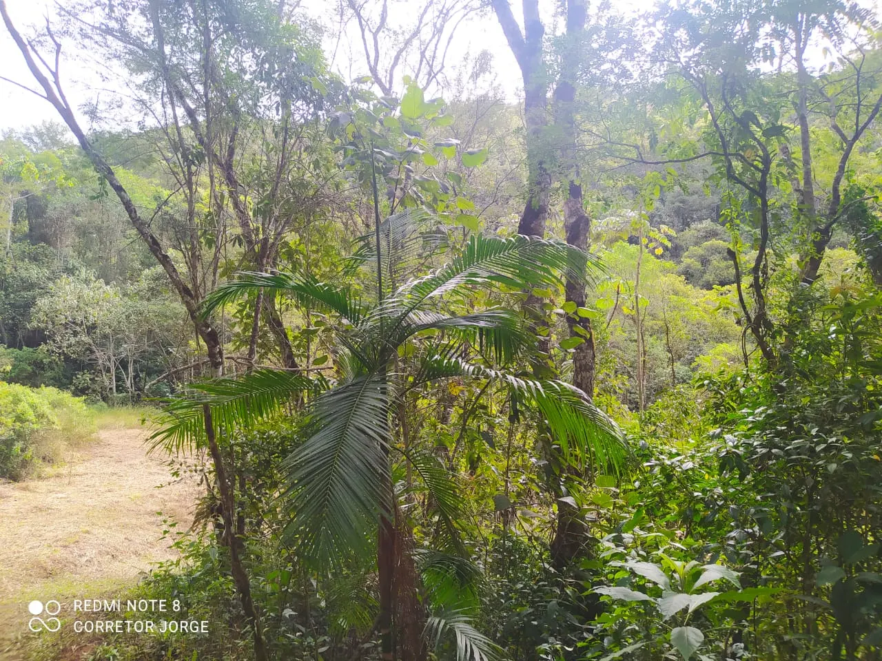 Plot for sale of 5 acres in São José dos Campos, SP, Brazil