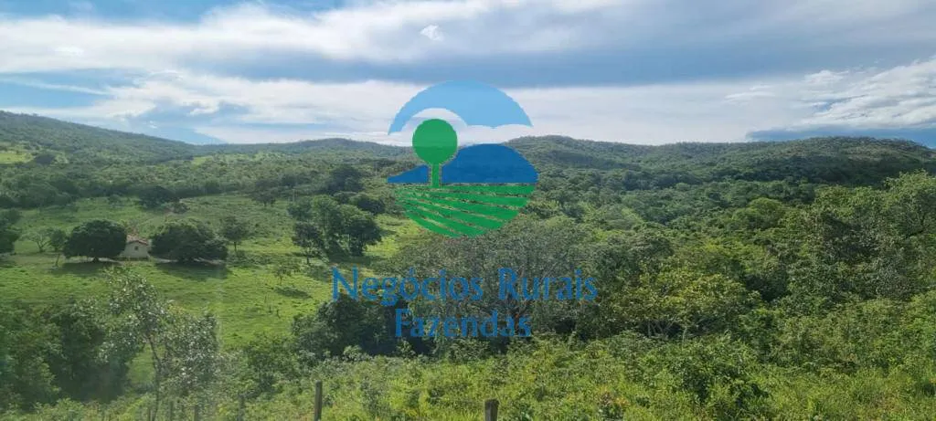 Sítio à venda de 87 ha em Ipameri, GO, Brasil