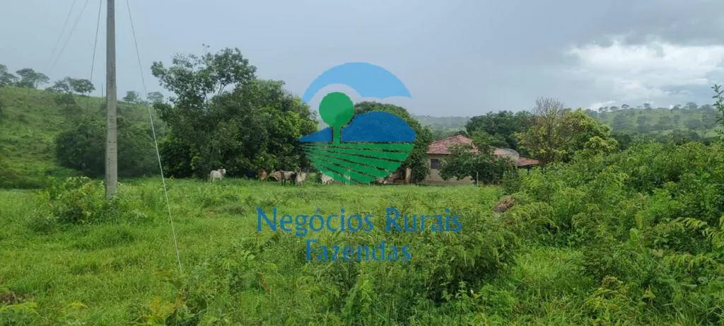 Sítio à venda de 87 ha em Ipameri, GO, Brasil