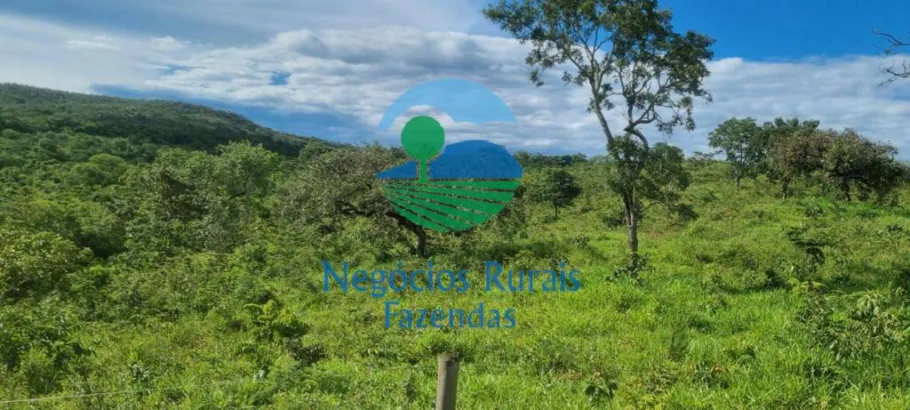 Sítio à venda de 87 ha em Ipameri, GO, Brasil