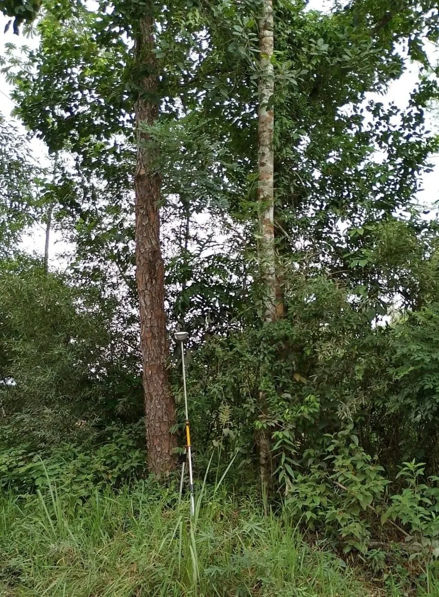 Fazenda à venda de 3.025 ha em Sete Barras, SP, Brasil
